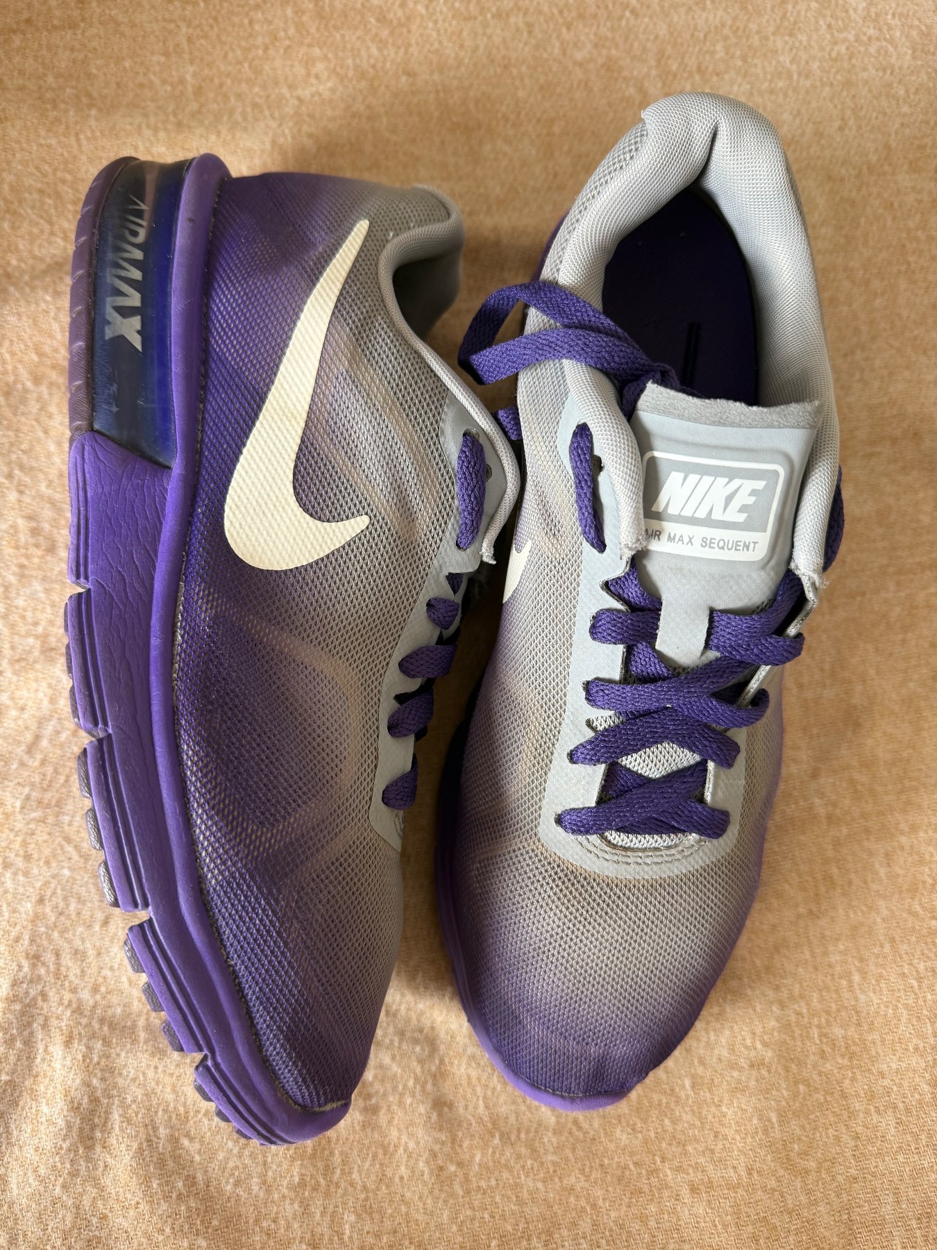 Nike Air Max Trainers