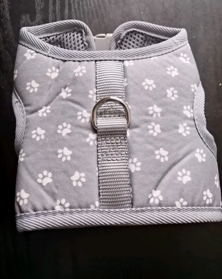 Harness