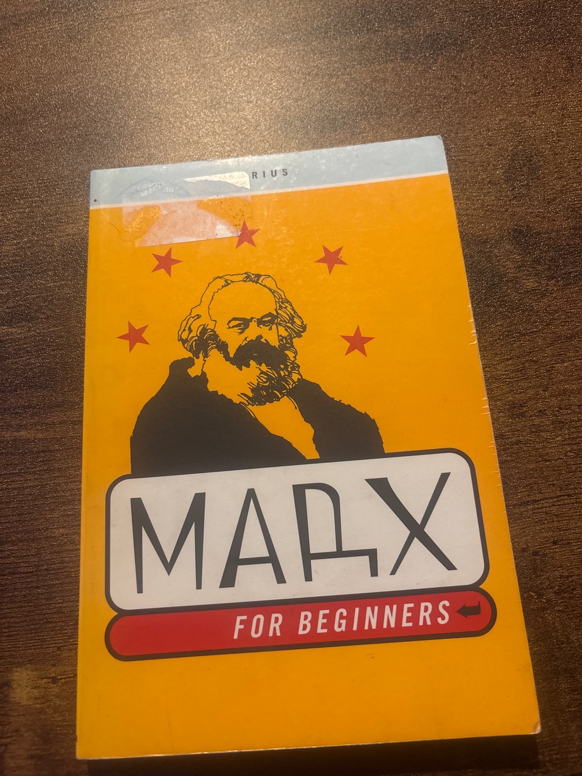 Marx for Beginners