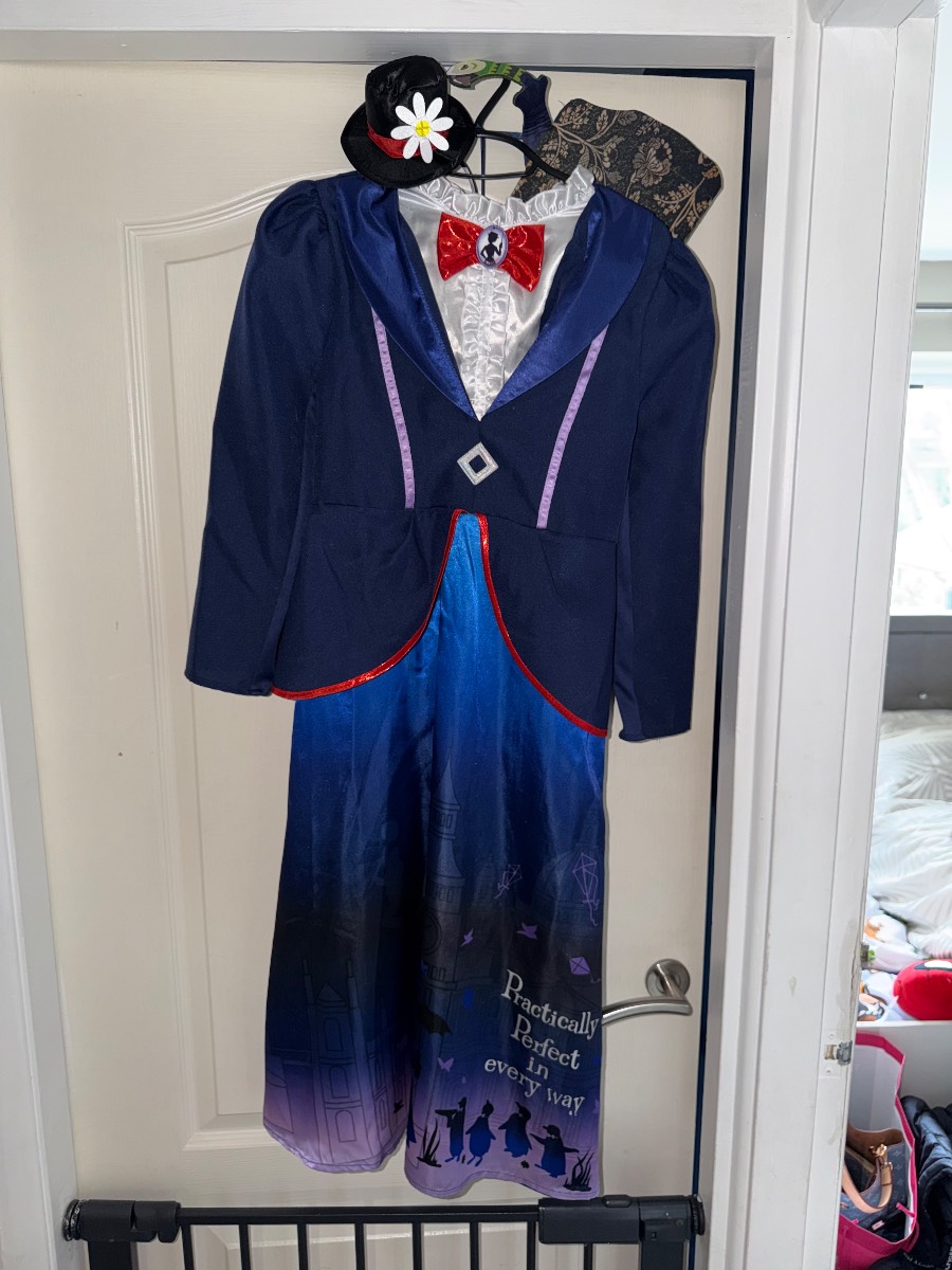 Girls Mary poppin dress comes with hat & bag size 9-10