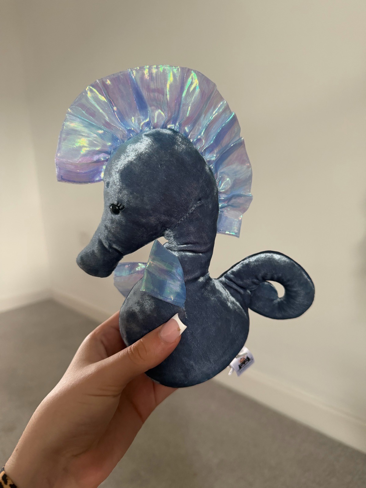 coral cutie seahorse