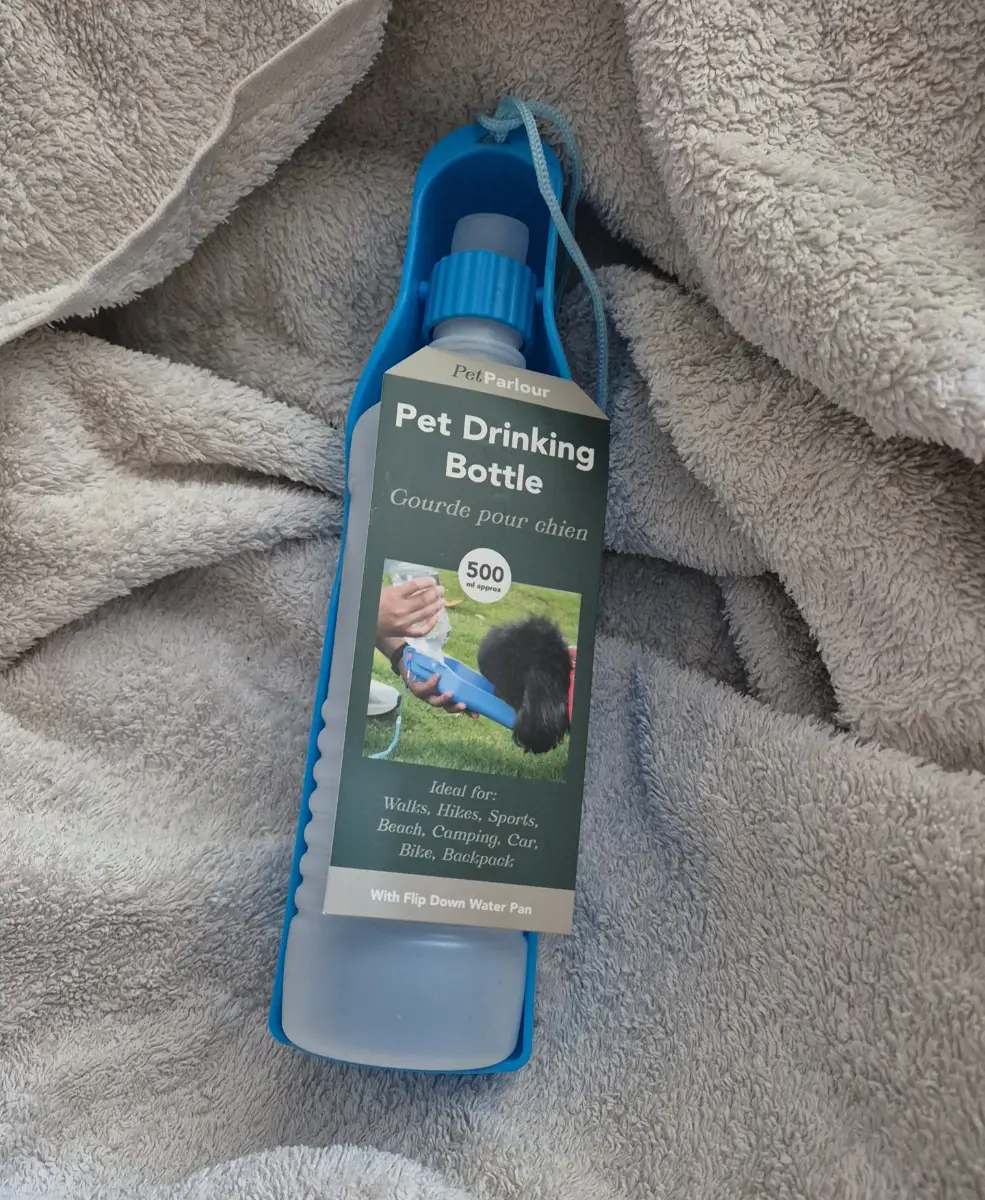 Dog Drinker (Blue)