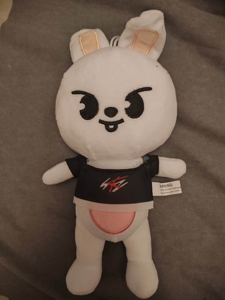 Stray kids lee know leebit plush skzoo window hanger skz stay danceracha