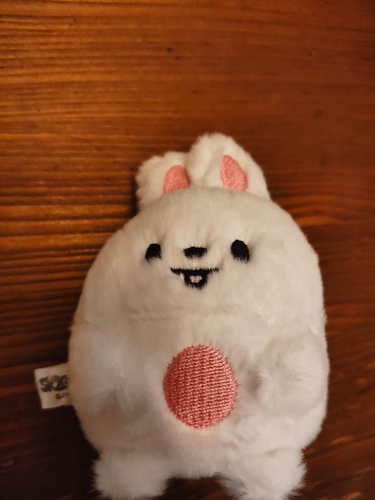 Stray Kids Skzoo Plush Keychain Zootropolis Skz Stay leebit lee know