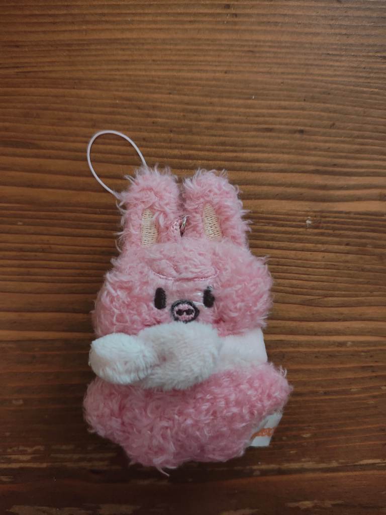 Stray kids micro plush nugget skzoo dwaekki changbin charm skz stay 3racha