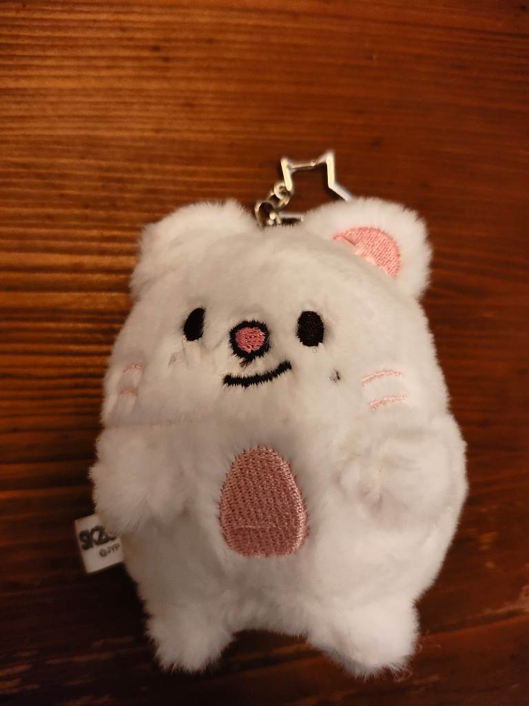 Stray Kids Skzoo Plush Keychain Zootropolis Skz Stay jiniret hyunjin