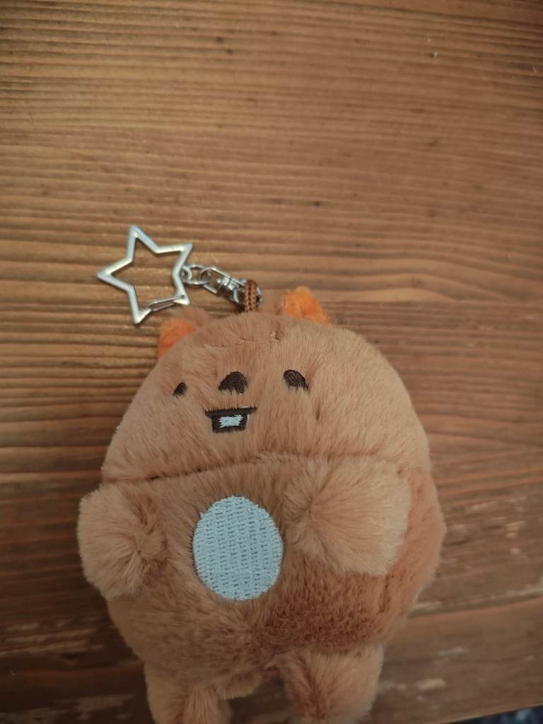 Stray Kids Skzoo Plush Keychain Zootropolis Skz Stay han quokka