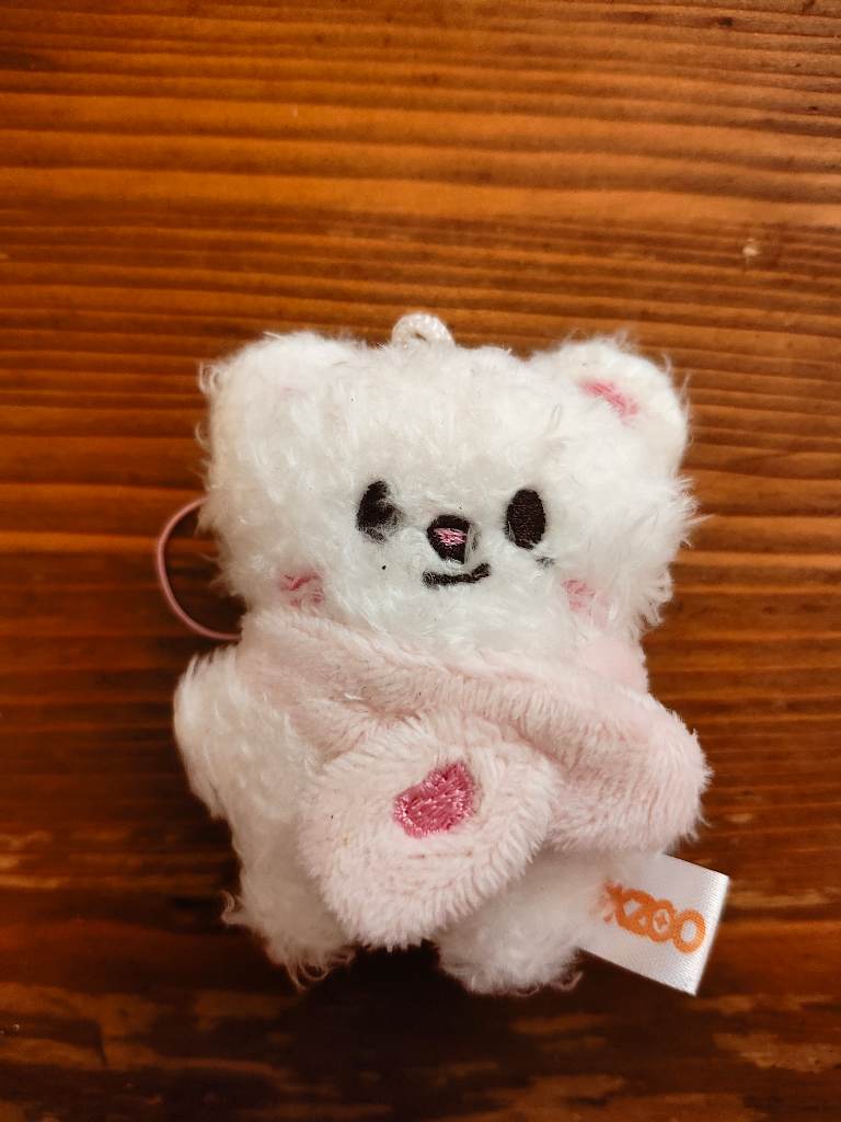 Stray kids plush micro nugget skzoo charm jiniret hyunjin skz stay