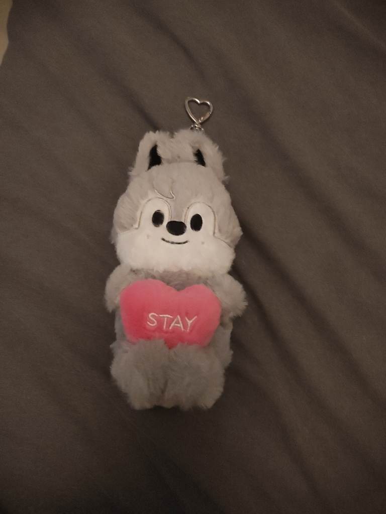 Stray Kids Skzoo Stay On Our Little House Fan Meet Skz Wolf Chan
