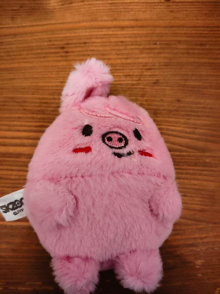 Stray Kids Skzoo Plush Keychain Zootropolis Skz Stay Dwaekki changbin