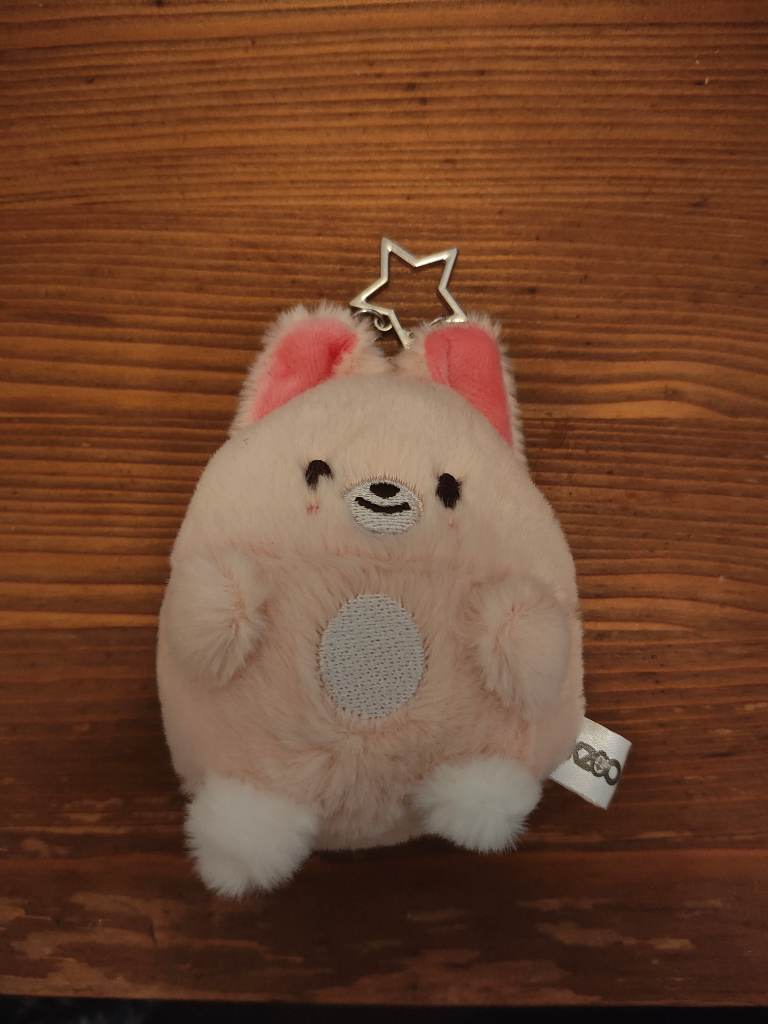 Stray Kids Skzoo Plush Keychain Zootropolis Skz Stay foxi.ny I.N
