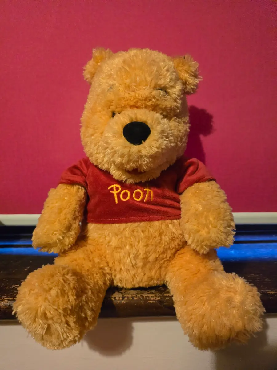 Winnie The Pooh