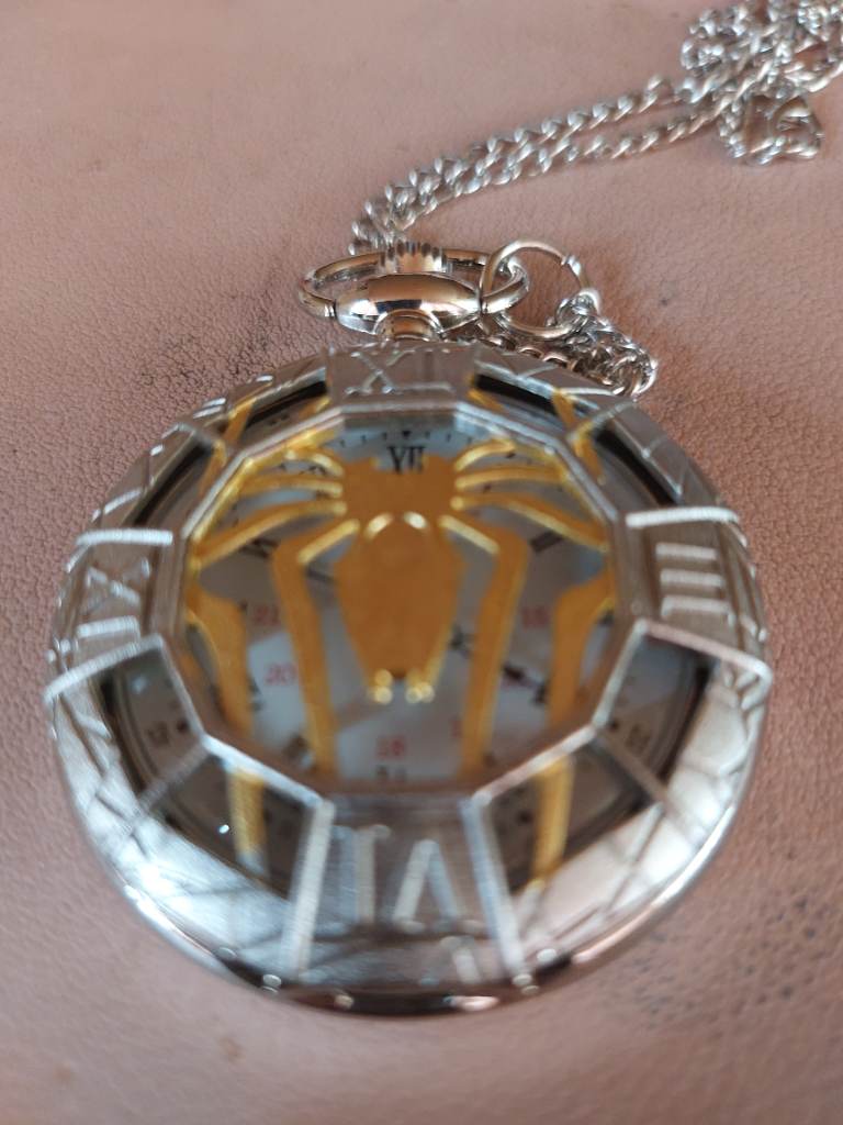 Spider pocket watch