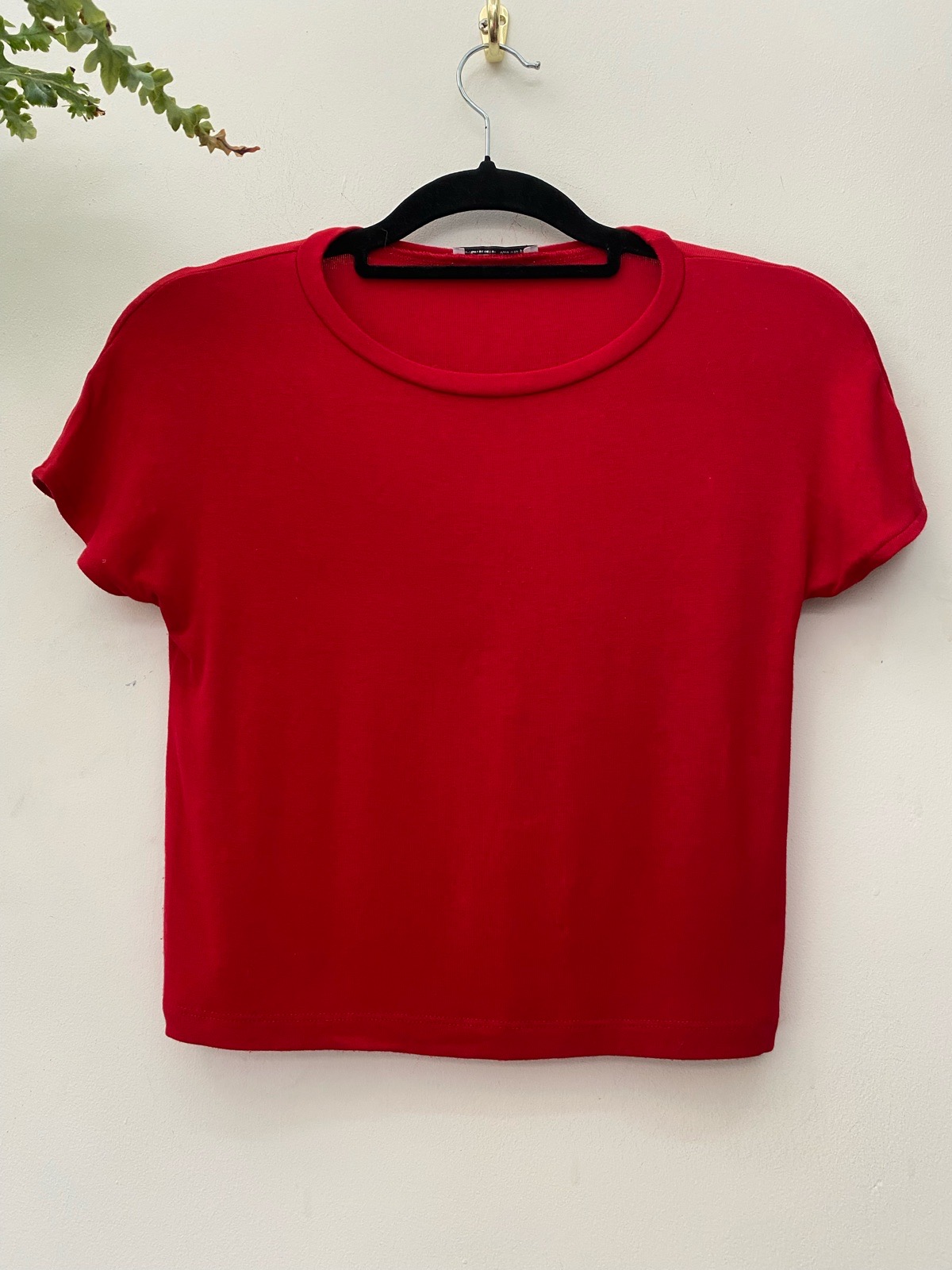 Zara crop tee shirt size 10 VGC