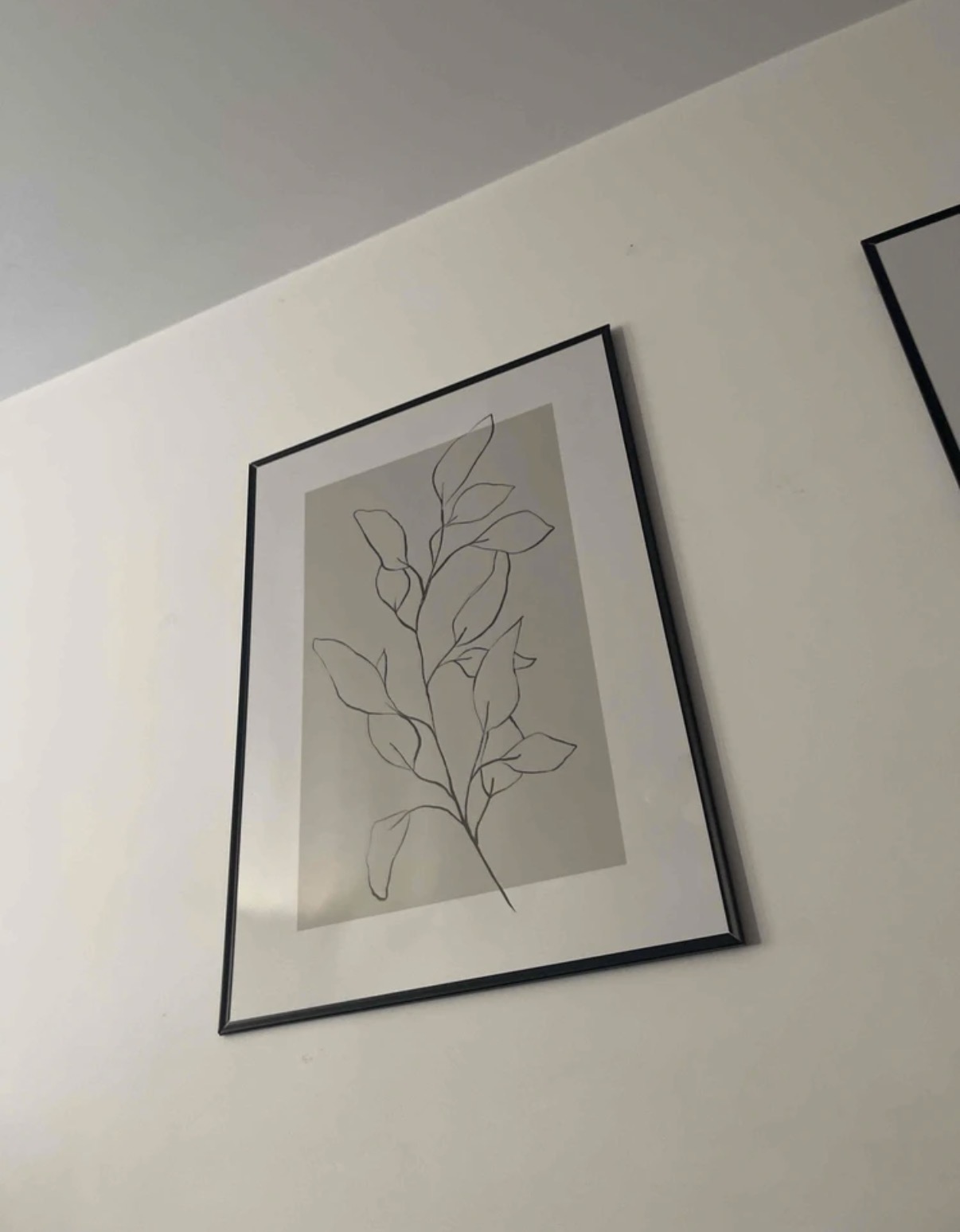 Set of three canvas wall art botanical prints unframed