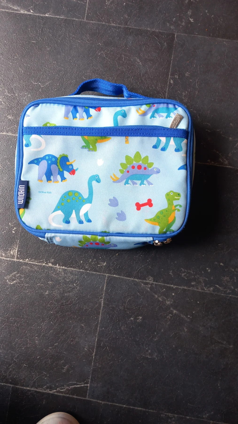 Lunch box Dinosaur land
