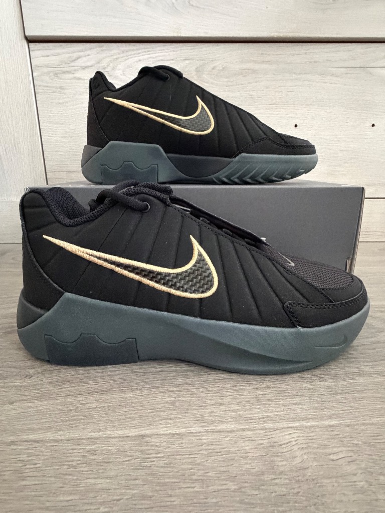 Nike LeBron witness IX 9