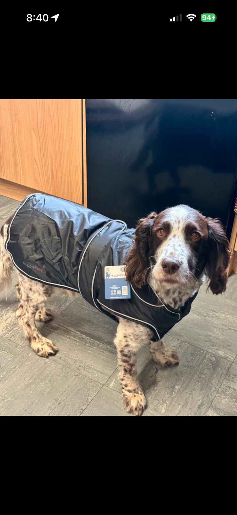 Huggle pets coat