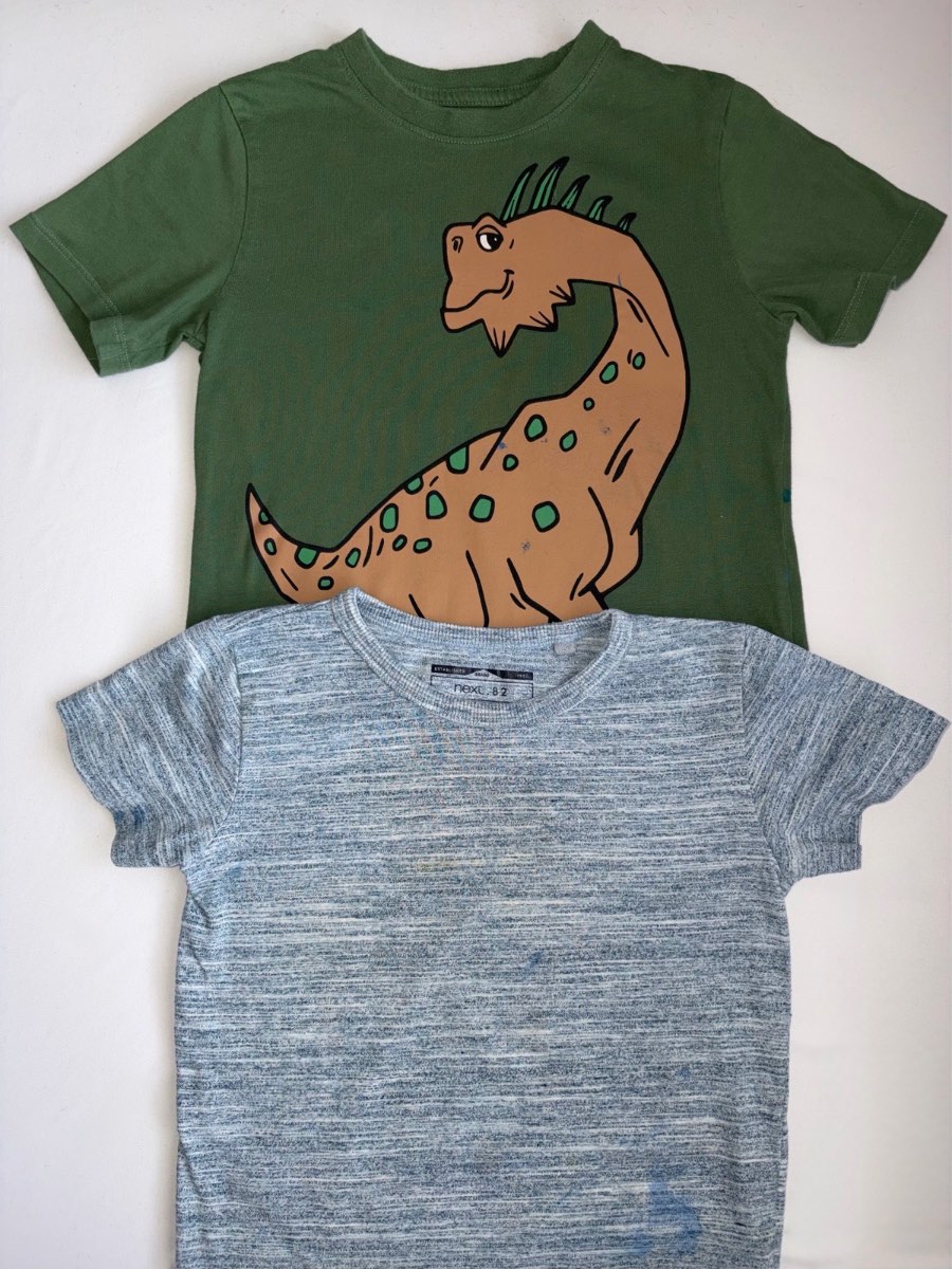 H&M Next Duo Boys Summer Winter Nursery Playwear T-shirt Bundle Blue & Green Dinosaur Top Age 2 to 4