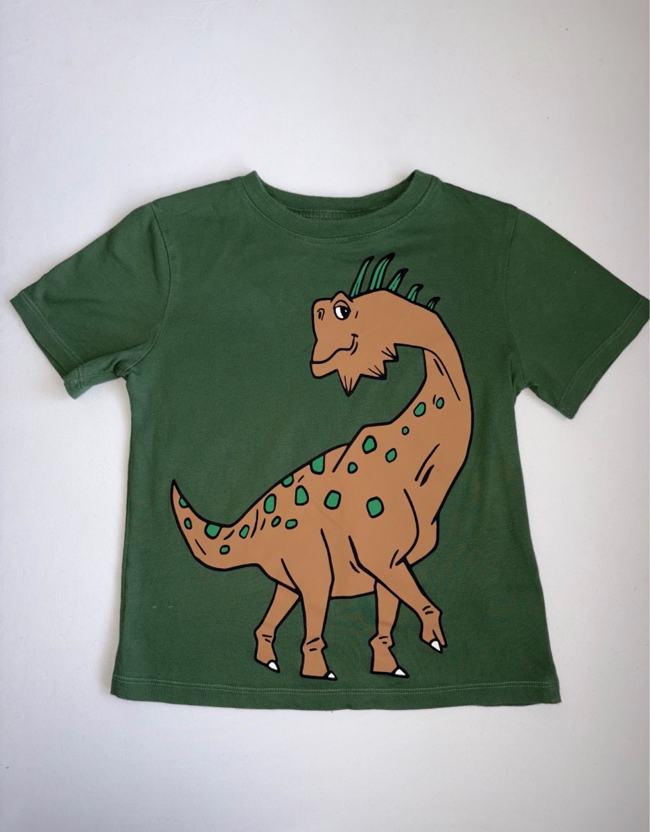H&M Boys Green Dinosaur T-shirt Dino Top Summer Winter Nursery Playwear age 2 to 4