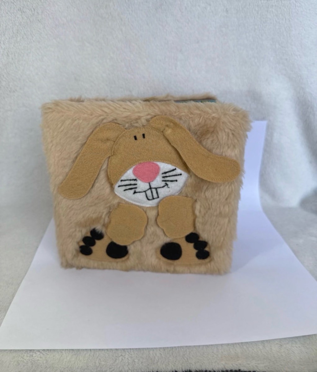Children’s rabbit/bunny book