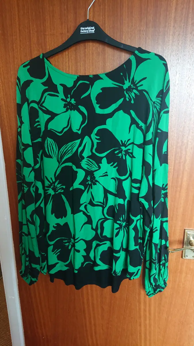 Long sleeved top. Size 18