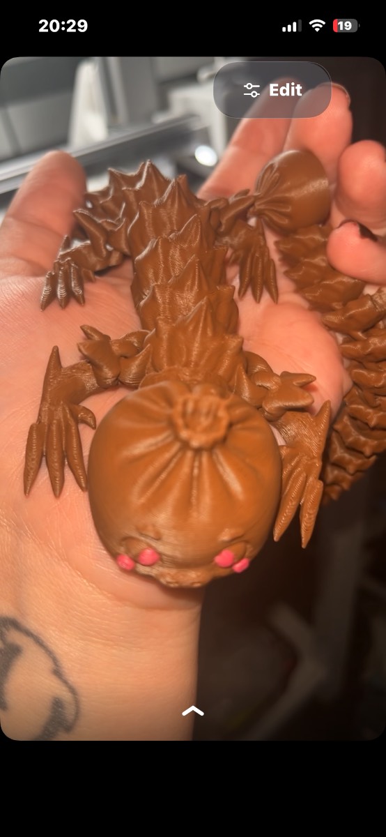 Large dumpling dragon