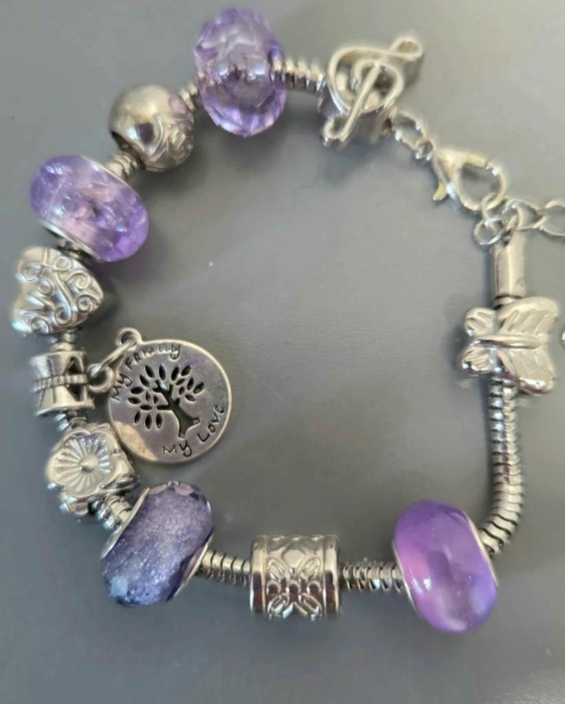 Silver & Purple Charm Bracelet - New in 3D Floating Display Gift Box