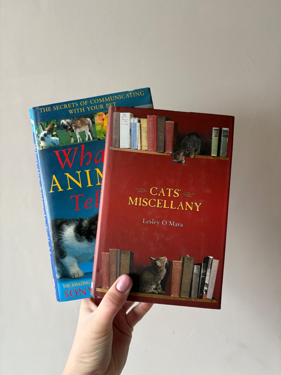 Animal & Cat Lovers Hardcover Book Bundle Cats Miscellany What The Animals Tell Me