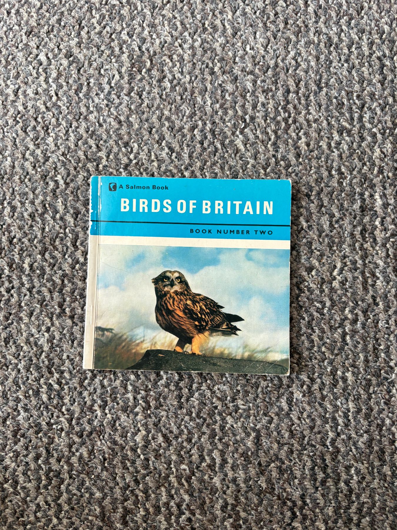 Vintage Birds of Britain Book Number Two J Salmon Ltd Sevenoaks Paperback