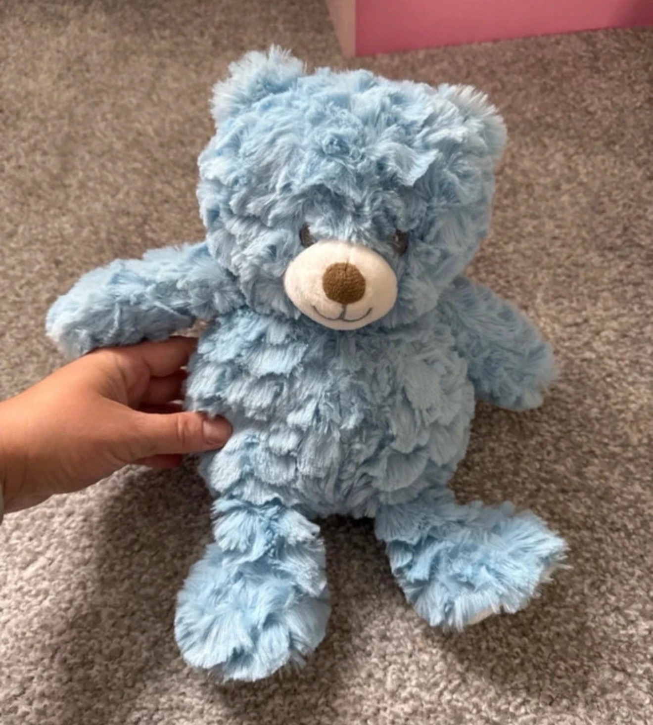 Blue soft teddy bear