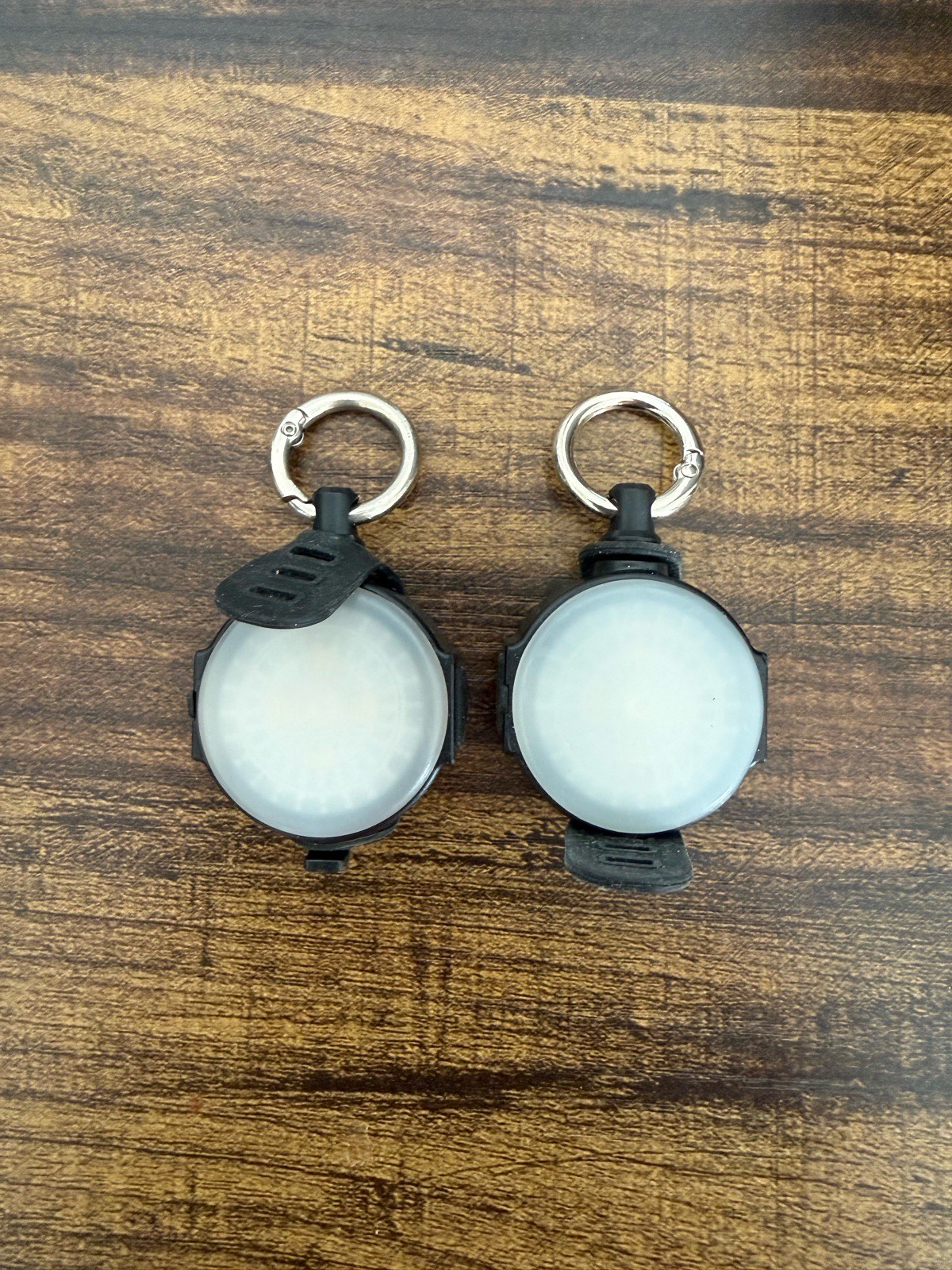 Dog Collar lights