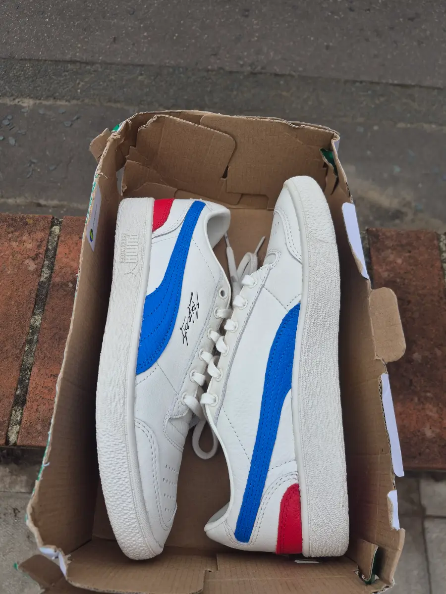 Puma majesty