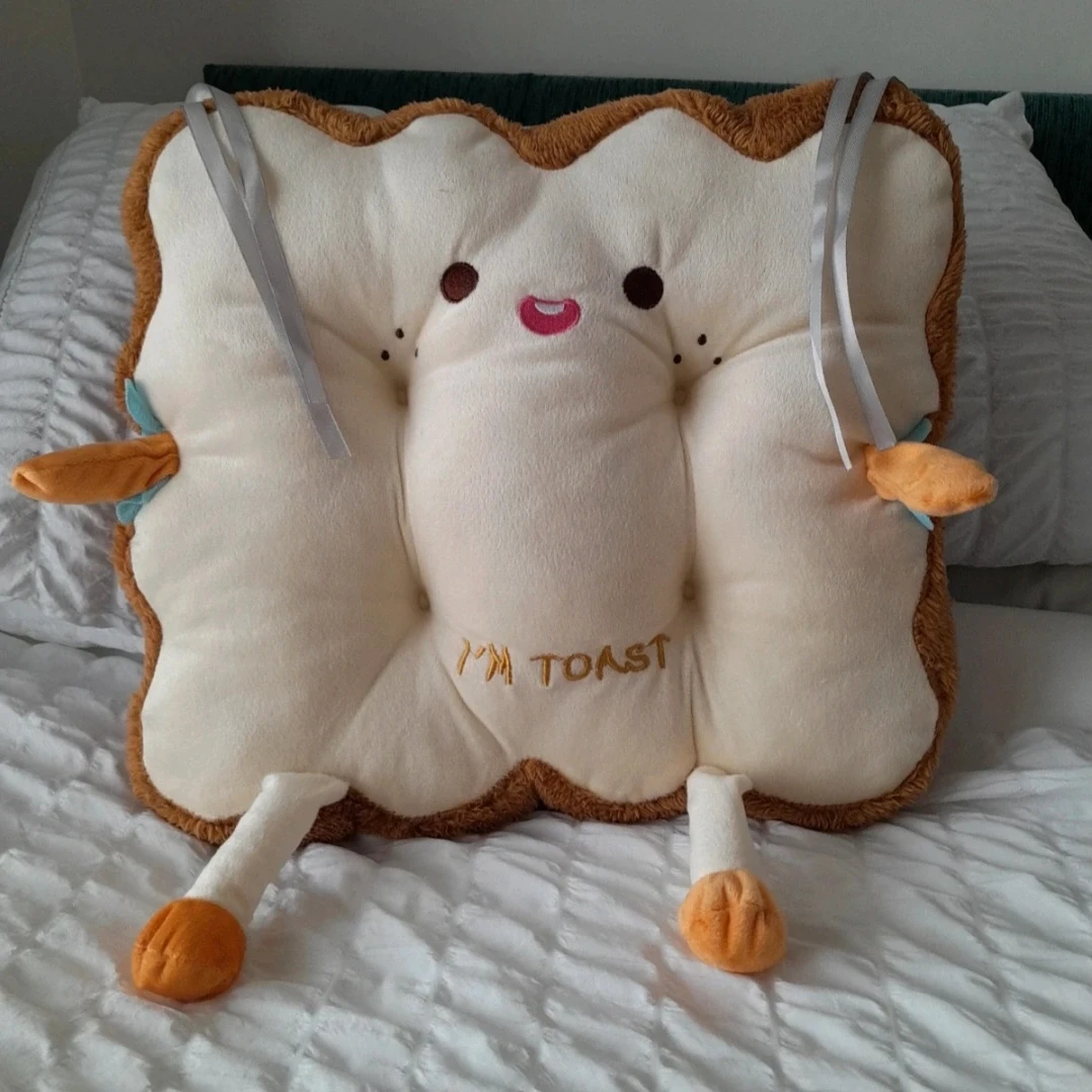 Novelty cushion