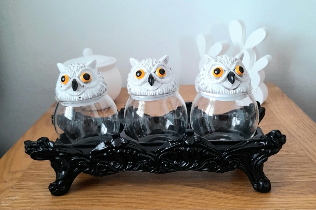Witchy Owl spice jars with stand