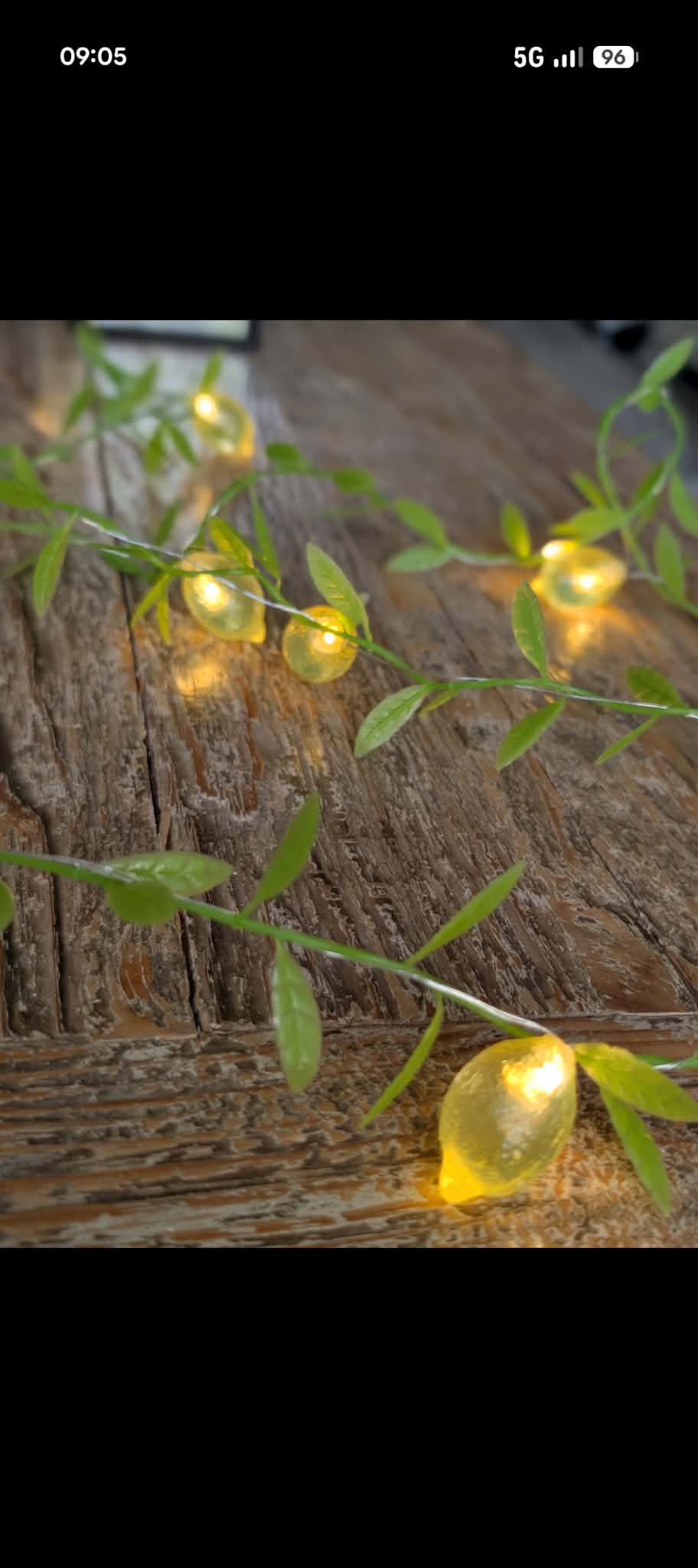 Lemon leaf lights 2.5 meters with 19 led lemon lights