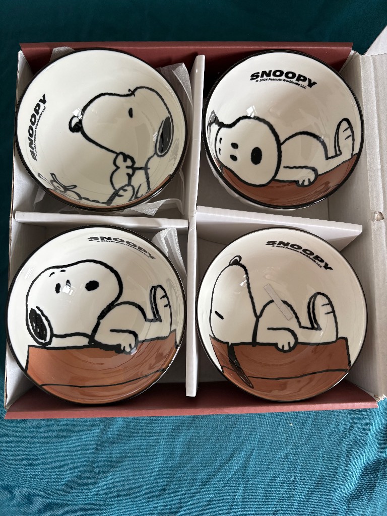 Snoopy ceramic bowl set