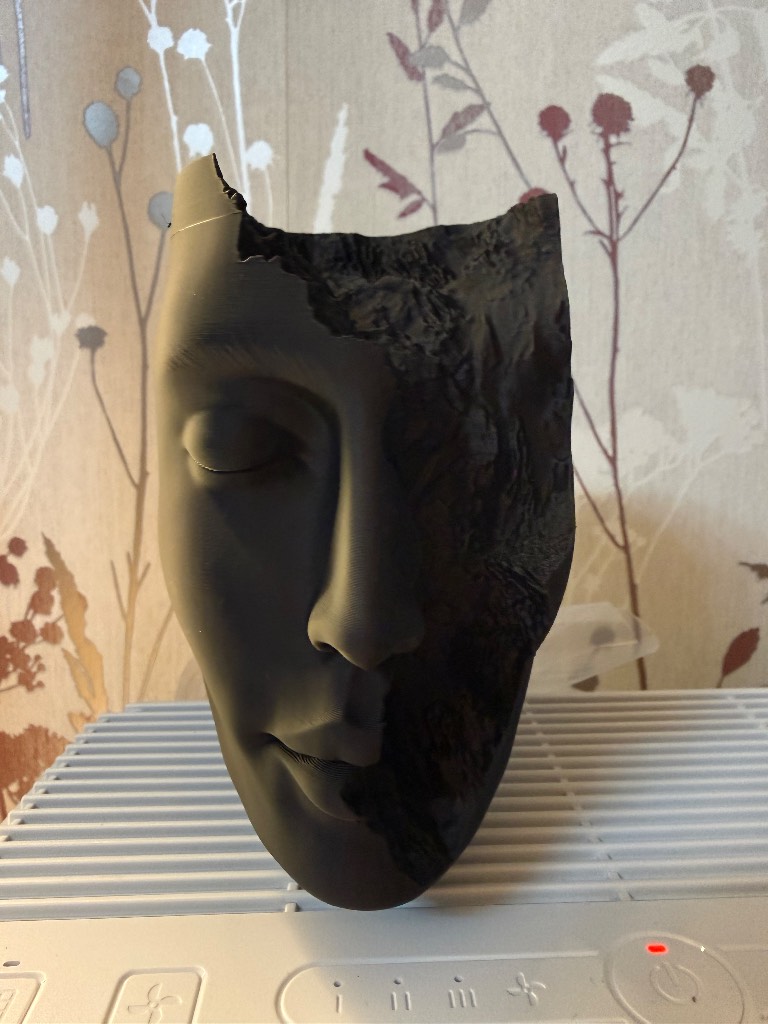 Face ornament - lovely art decor