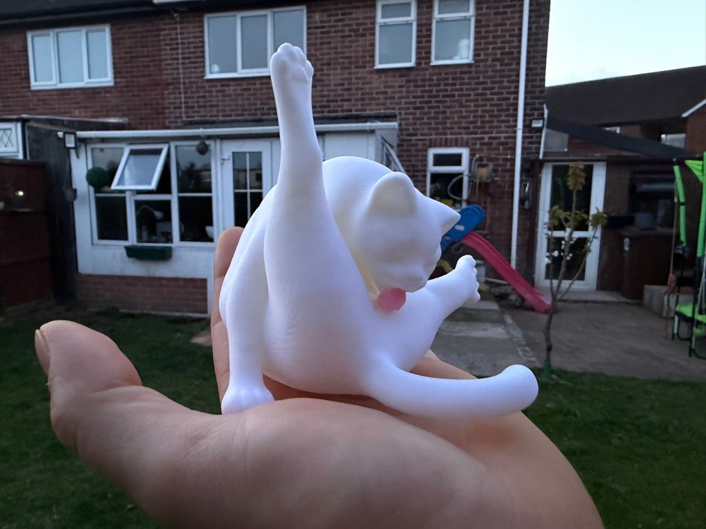 Funny cat ornament