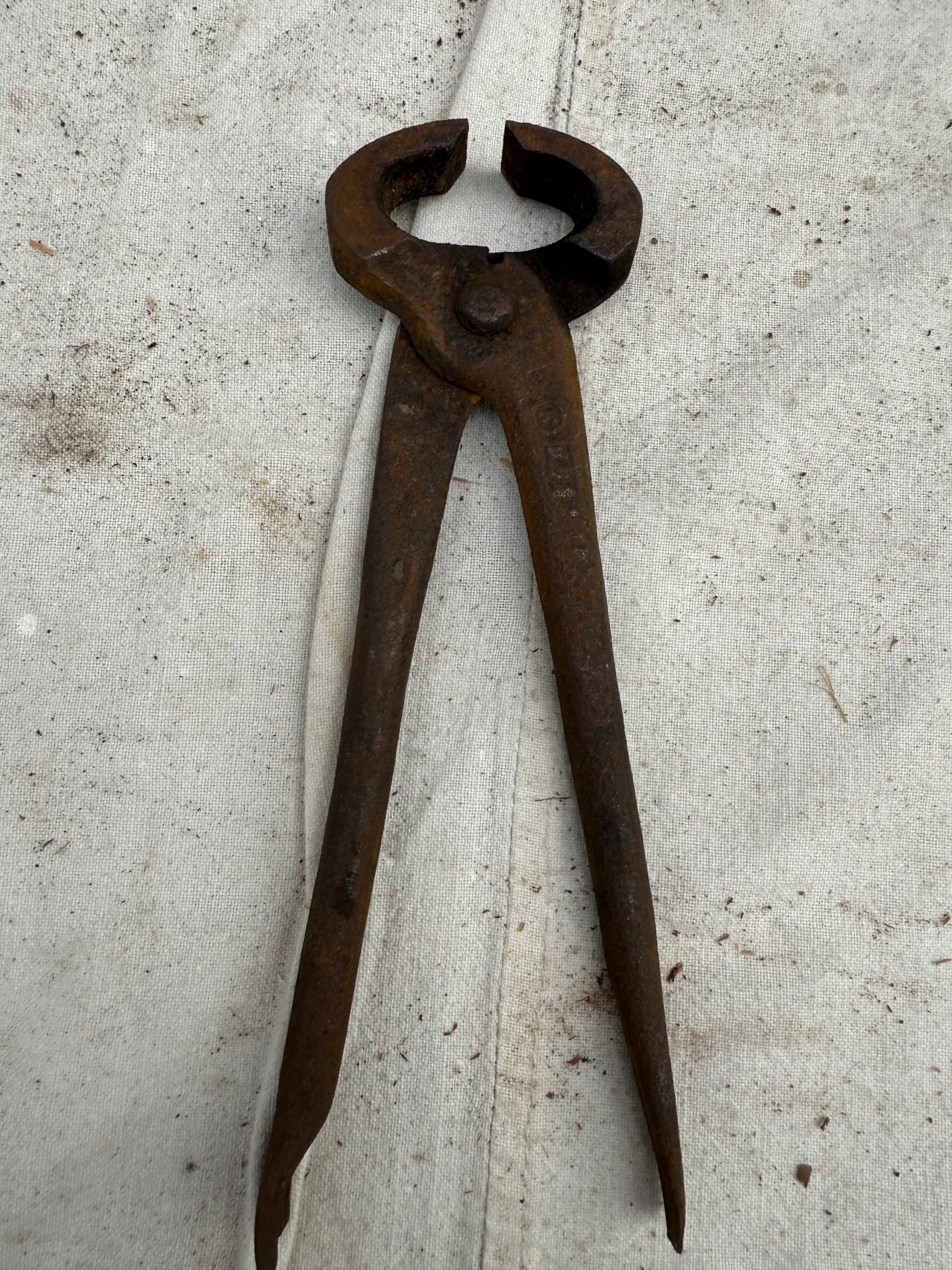 Antique hand-forged farrier's pincers