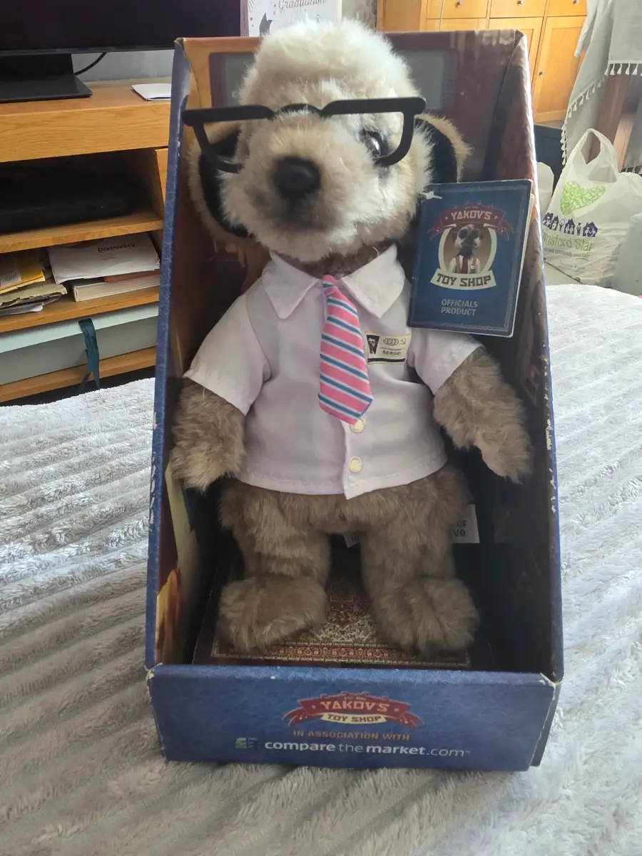 Compare the Market Offical SERGEI Collectable Toy.
