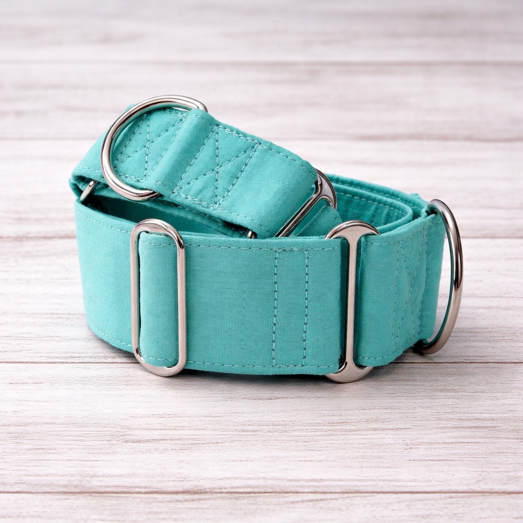 Medium martingale dog collar