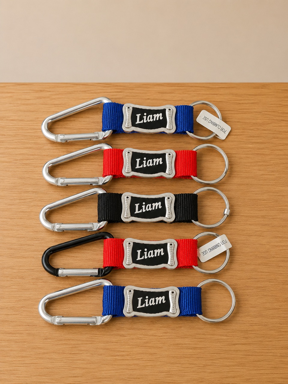Set of 5 Liam carabiner keyrings