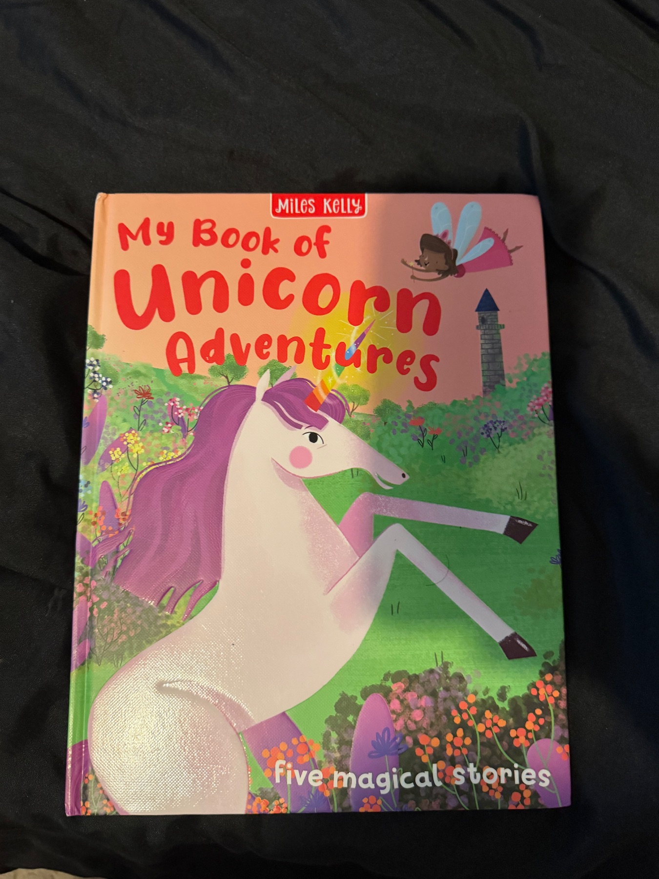 My Book of Unicorn adventures