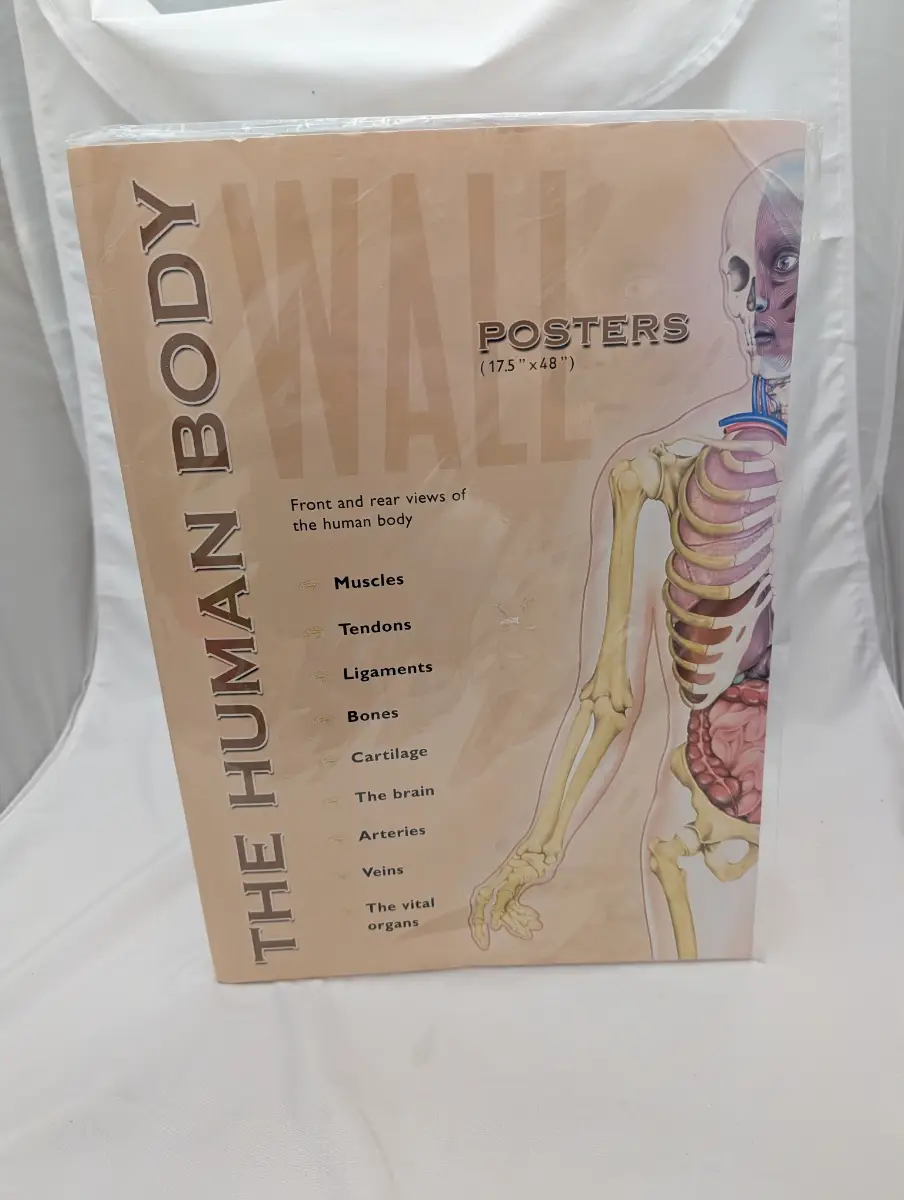 Human Body Poster Pack 2007 robert frederick 17 x 48'' anatomy Science biology