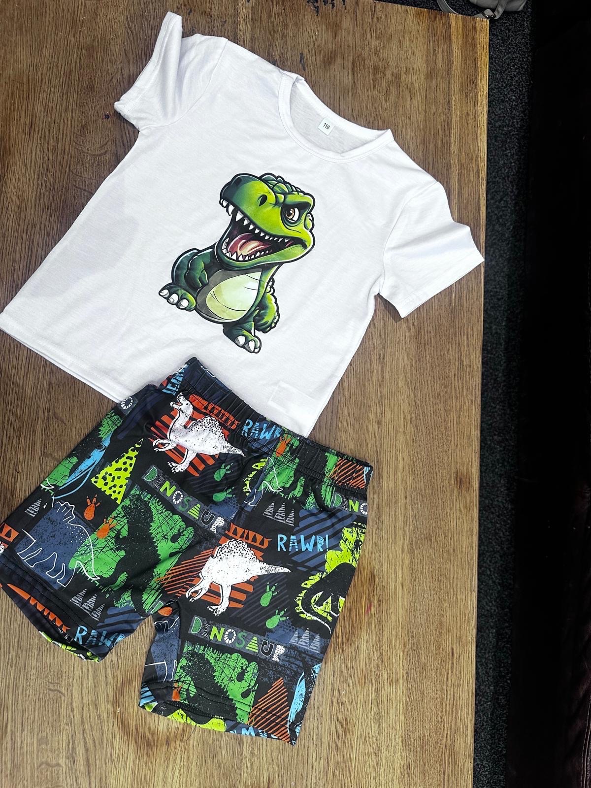 Boys Dino Two Piece Set 3D Graphics1 Set New