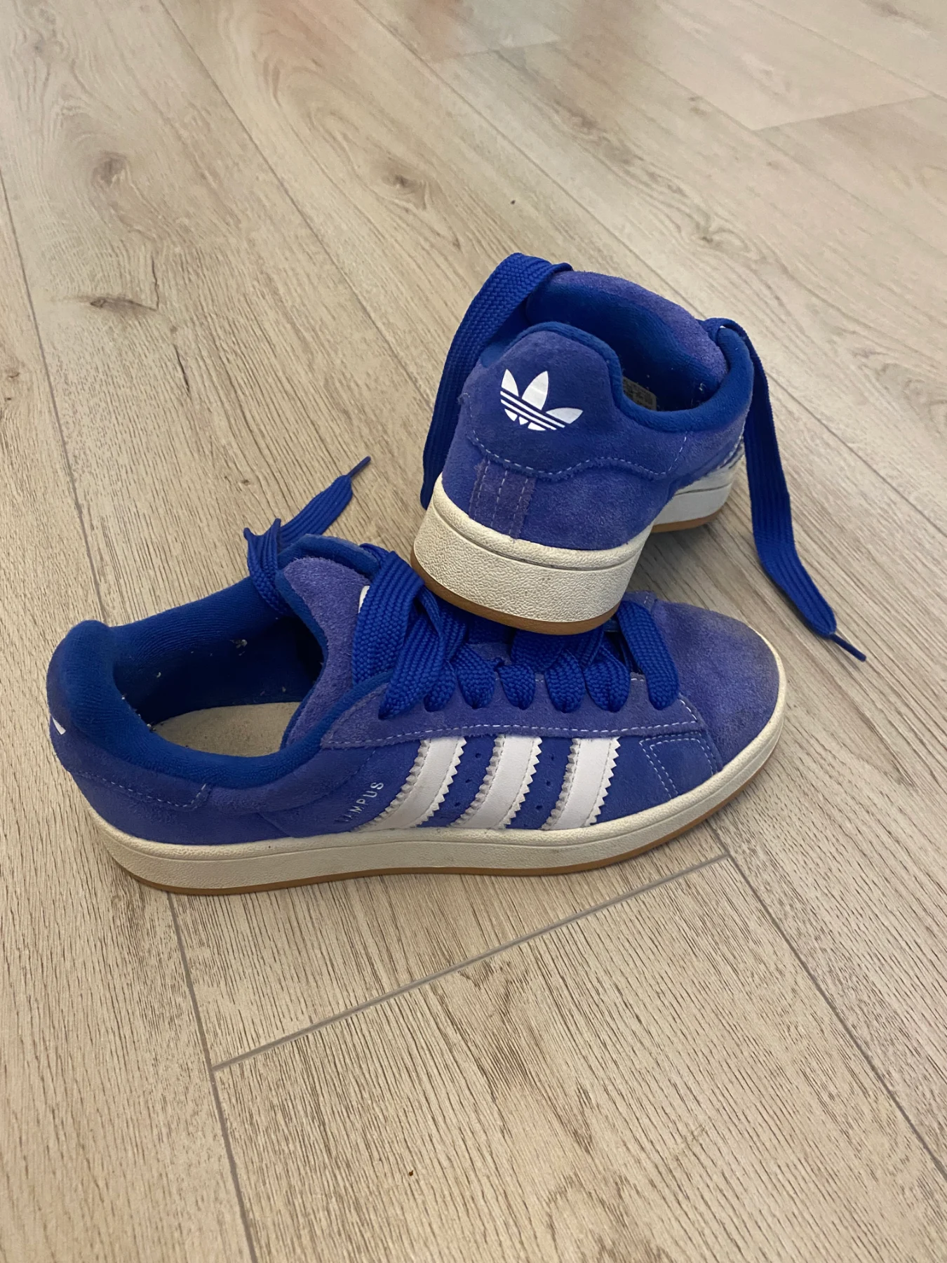 Adidas Campus Lucid Blue
