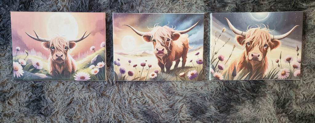 Highland cow canvas set