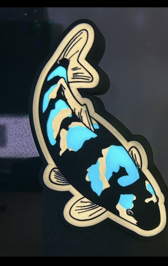 Koi light box