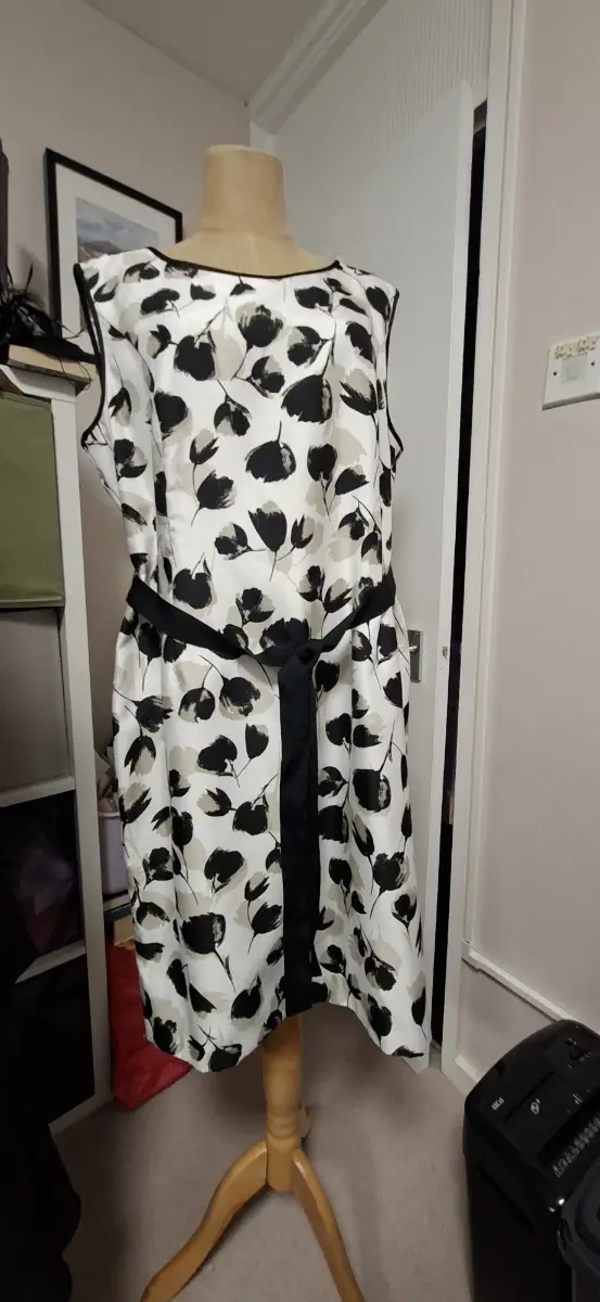 Precis shift dress size 18